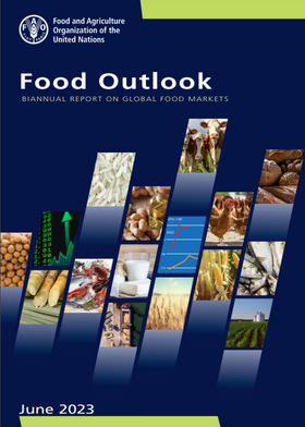 Panorama Alimentar - Relatório bianual sobre mercados alimentares globais