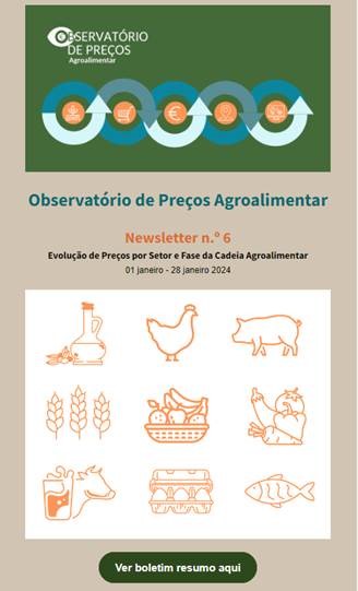 6newsletterObserv