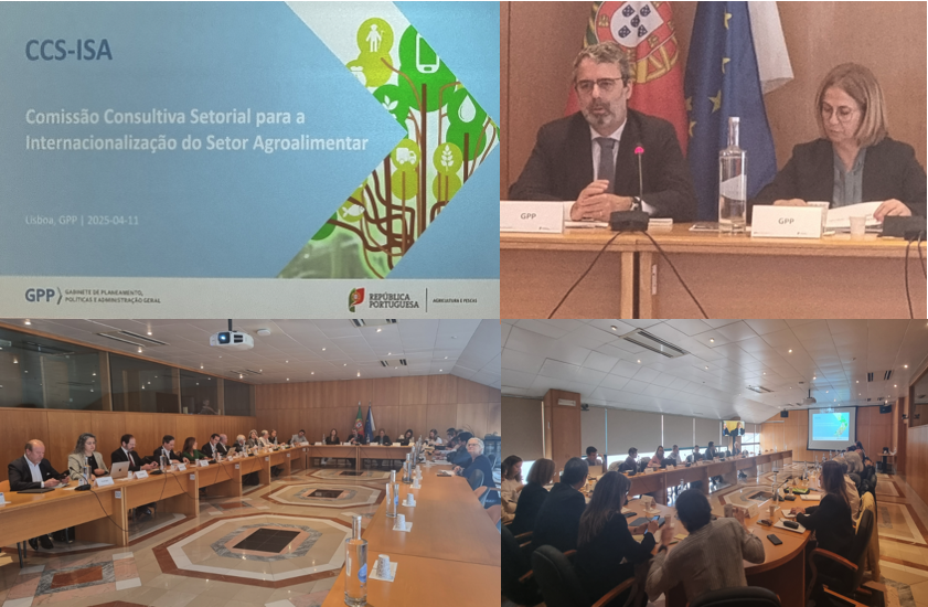 Imagens reunião CCS-ISA