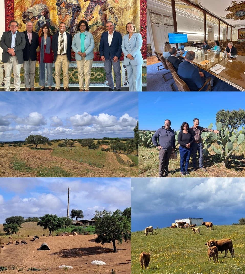 Montagem fao sipam