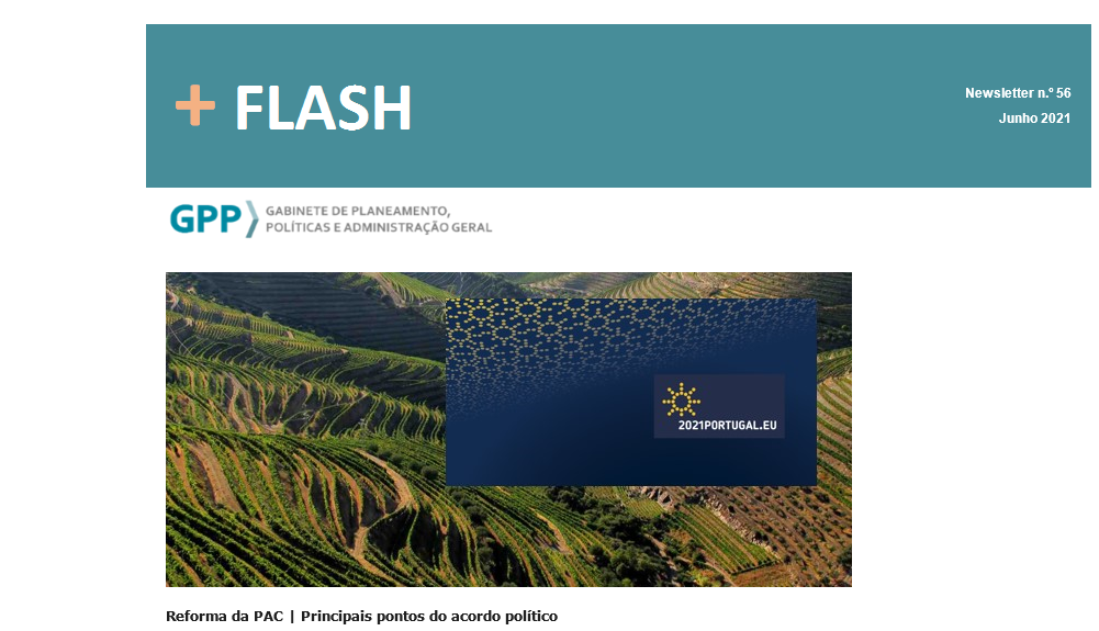 FLASH junho