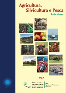 Indicadores 2007