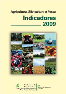 Indicadores 2009