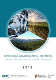 Indicadores 2018