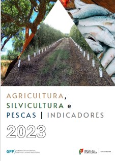 Indicadores 2023