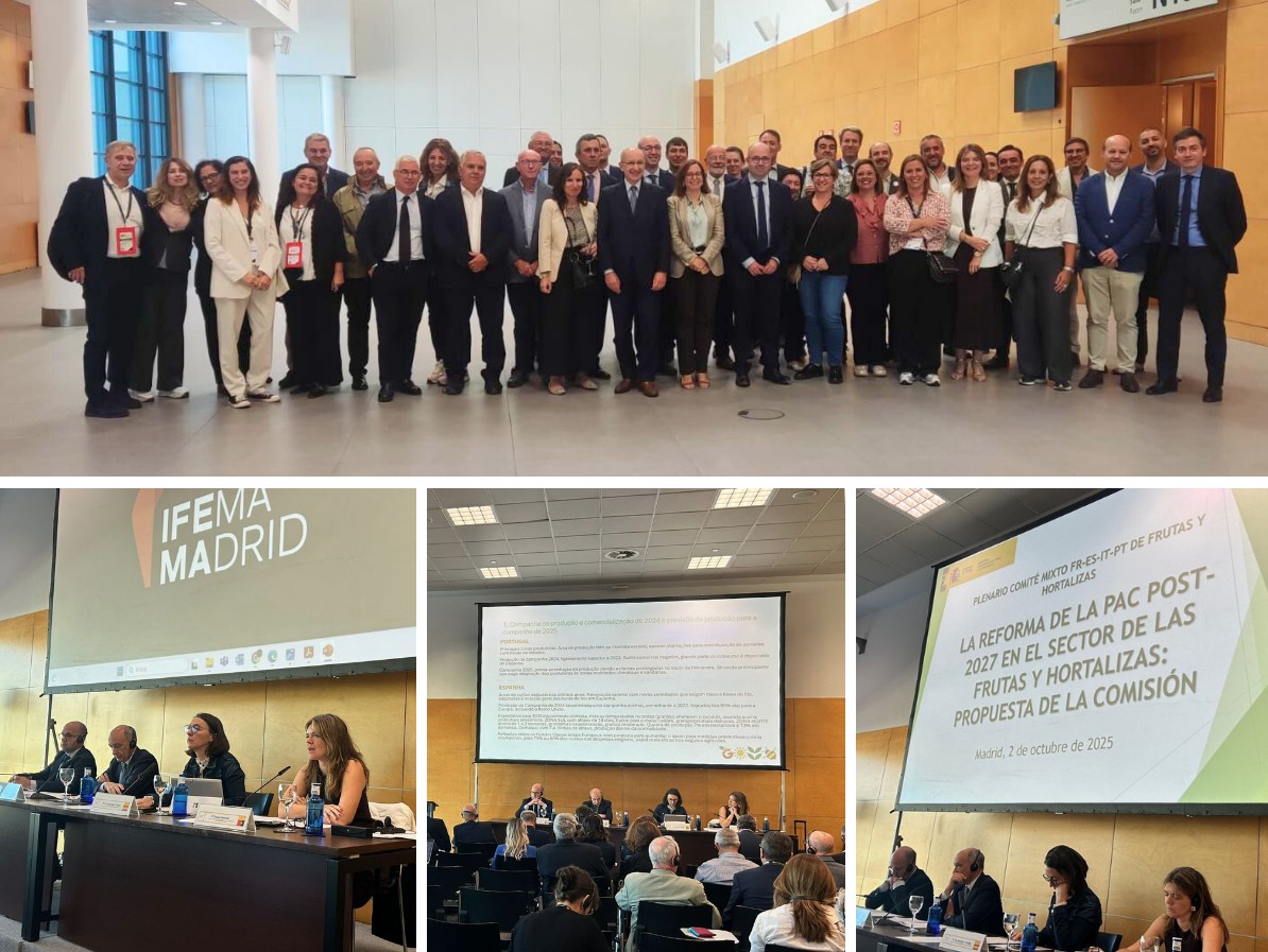ComiteMistoFH 2025