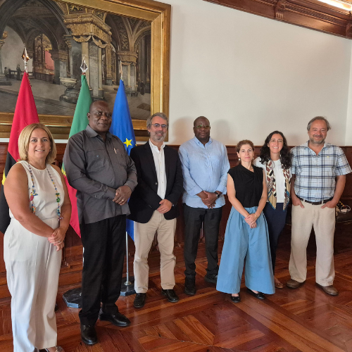 Website Bilateral PT Angola 03072025