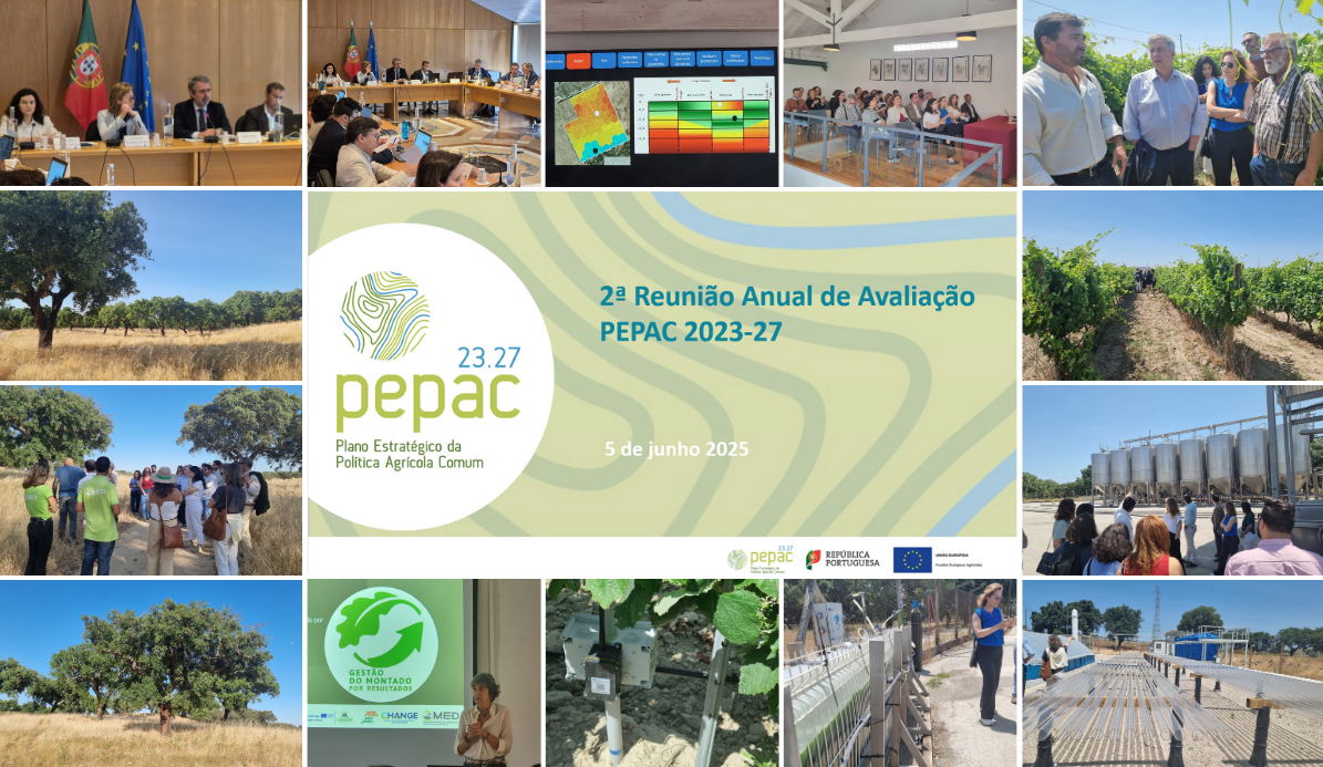 ReuniaoAvaliacaoAnual PEPAC 5 6 junho2025