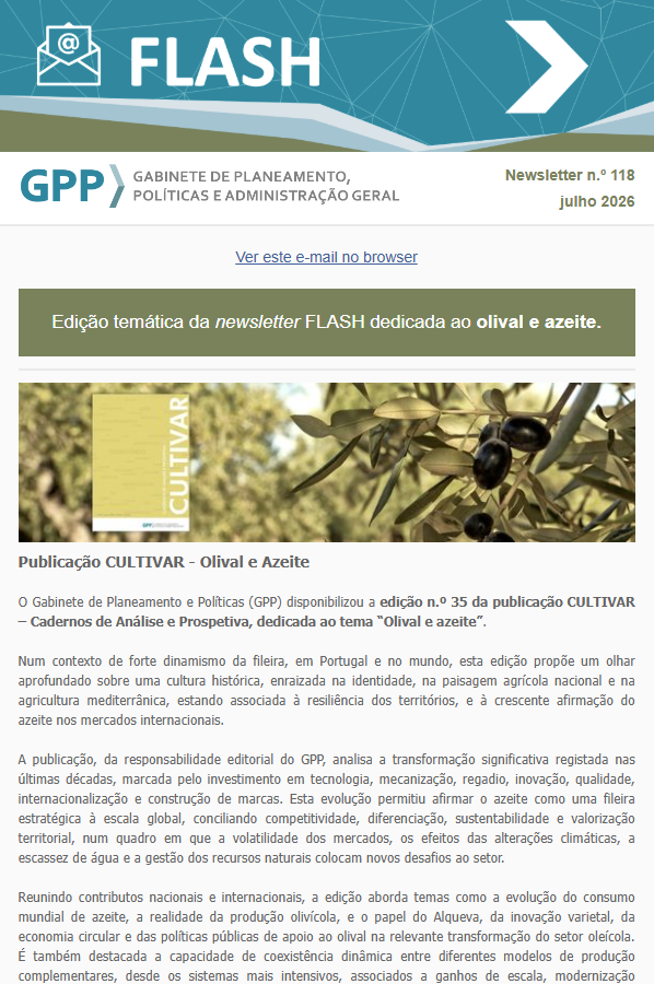 Flash118capa