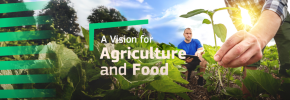 Visão para a Agricultura e a Alimentação