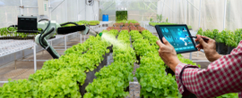 Conselho Consultivo para a promoção da Digitalização da Agricultura