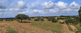 FAO | Candidatura a SIPAM do Montado da Serra de Serpa