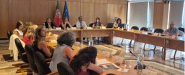 Reunião plenária da CNCDA