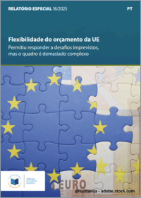 Flexibilidade do orçamento da UE – Permitiu responder a desafios imprevistos, mas o quadro é demasiado complexo 
