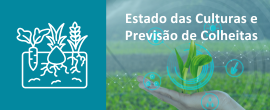 Boletim do Estado das Culturas e Previsão de Colheitas | julho