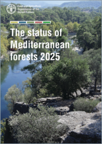 O estado das florestas Mediterrânicas em 2025