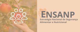 6.ª Reunião do Conselho Nacional de Segurança Alimentar e Nutricional (CONSANP)
