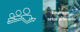 Indicadores de emprego no setor primário | 4.º trimestre de 2025