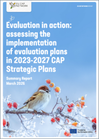 Avaliação em ação - Avaliando a implementação dos planos de avaliação dos Planos Estratégicos da PAC 2023-2027