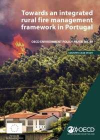 Rumo a um quadro integrado de gestão de incêndios rurais em Portugal