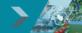 Comissão Consultiva Setorial para a Internacionalização do Setor Agroalimentar (CCS-ISA)