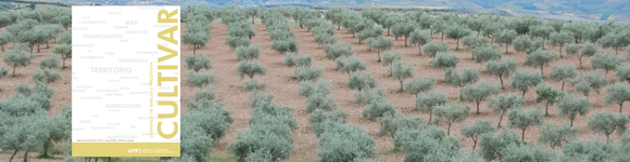 Panorama dos números do olival e azeite 