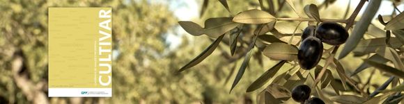 Publicação CULTIVAR - Olival e Azeite 