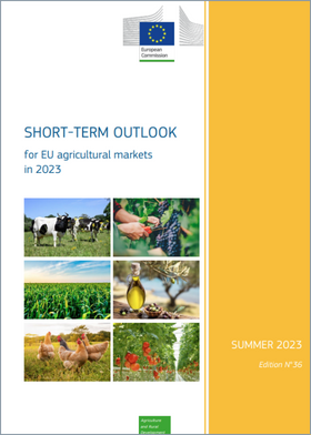 Relatório: Perspetivas de curto prazo para os mercados agrícolas da UE em 2023 – Verão 2023, Edição n.º 36