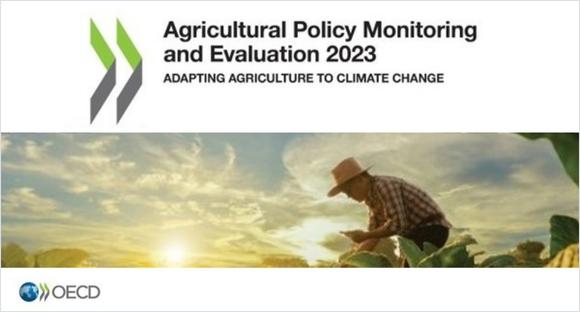 Monitorização e Avaliação da Política Agrícola 2023