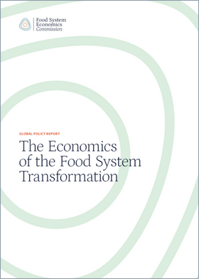 A economia da transformação do sistema alimentar 