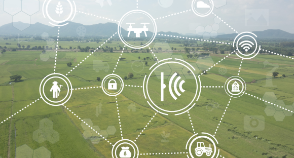AGRISPACE: Portuguese AGRIculture data SPACE 