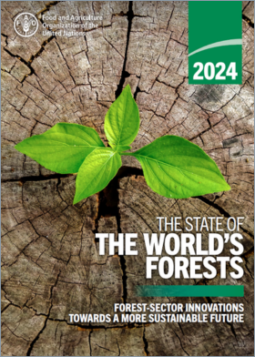 O estado das florestas do mundo em 2024