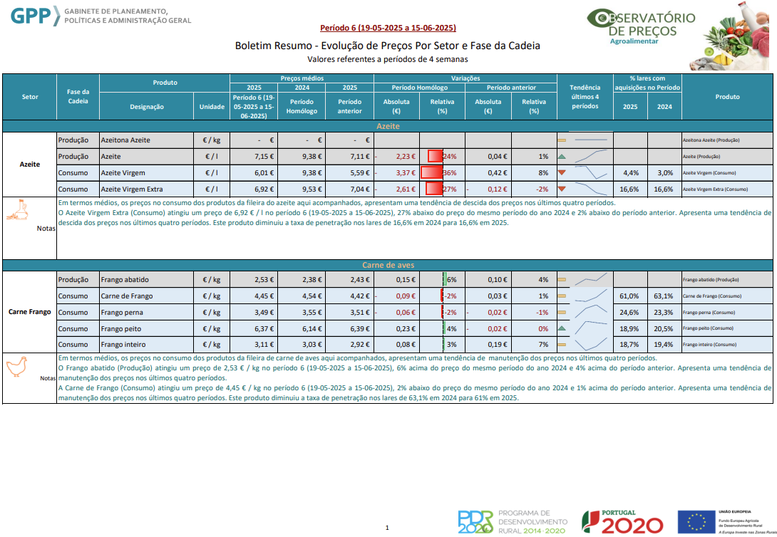 Boletim n.º 6 de 2025